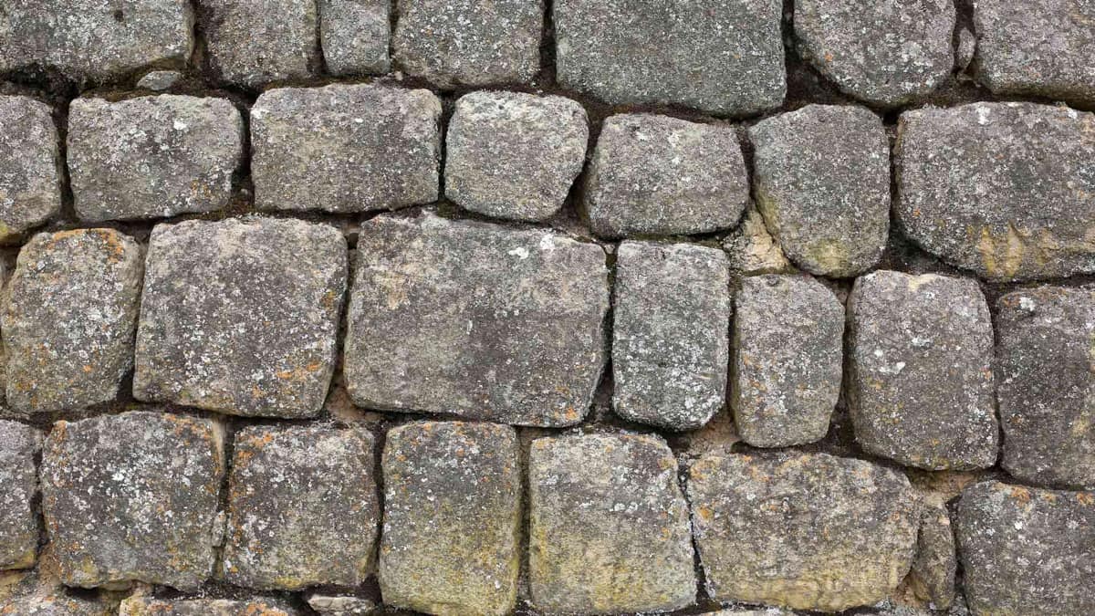 Detalle de las piedras talladas del complejo