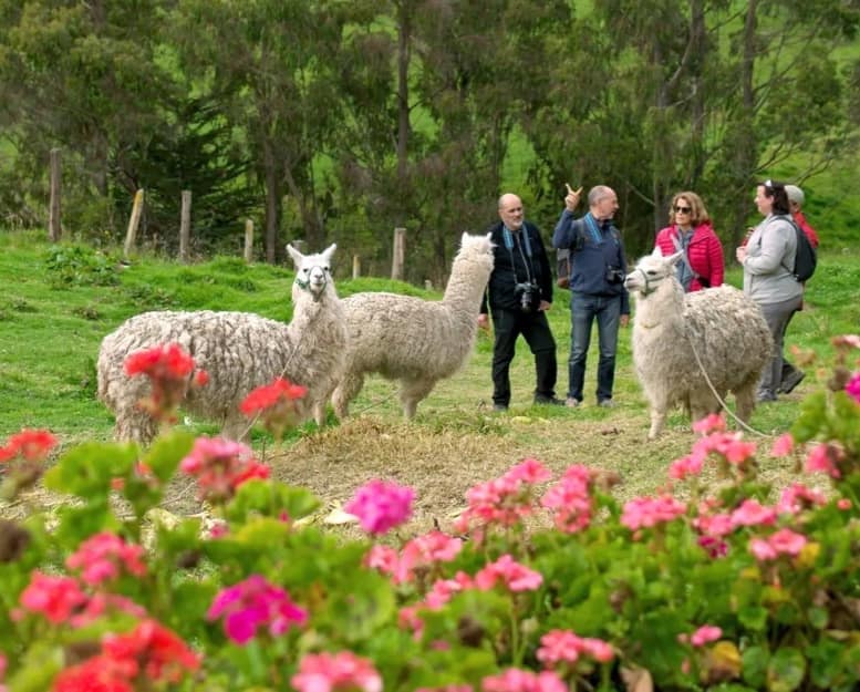 Visitantes disfrutando del entorno natural