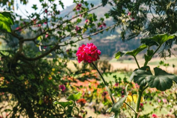 Doble Destino: Cuenca + Ingapirca en un Solo Viaje